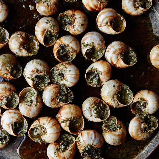 Chef's Quality Escargots Large Snails 28 oz 96 Count product image at Pops Trading Company